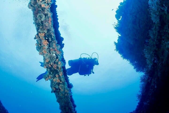 Anguilla 2-Tank Guided Dive: Morning Reefs & Shipwrecks with Scuba Shack photo 6