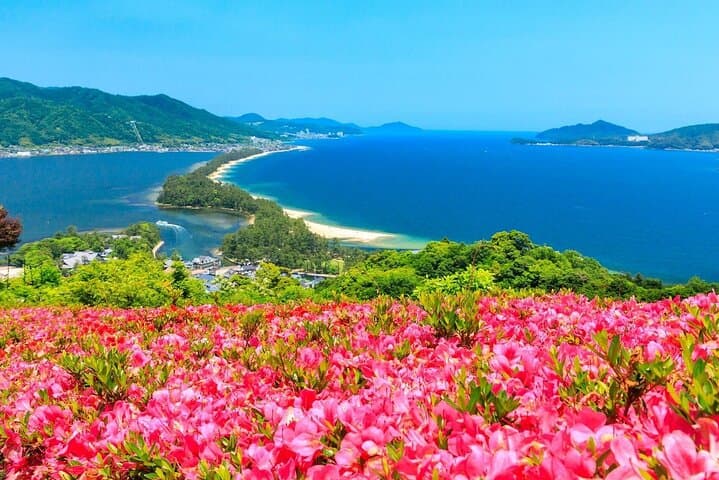 Sea Train to Amanohashidate and Ine Bay: Day Trip from Osaka photo 3
