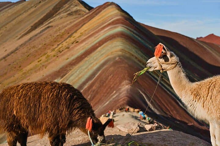 Conquering Vinicunca: Rainbow Mountain Day Trip from Cusco photo 6