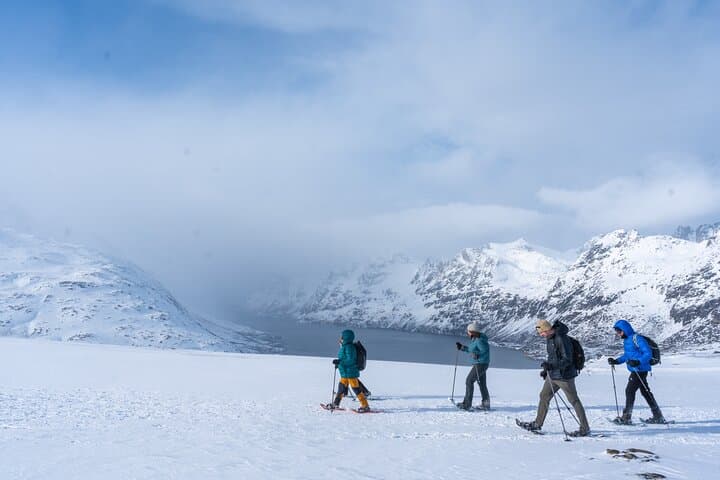 Tromsø Arctic Snowshoe Hike with Local Guides
