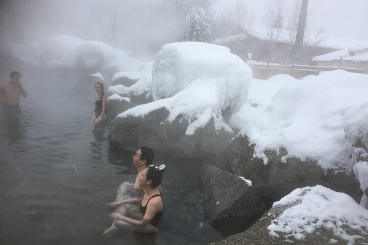 Chena Hot Springs Private Tour from Fairbanks — Soak, History & Free Photos photo 3