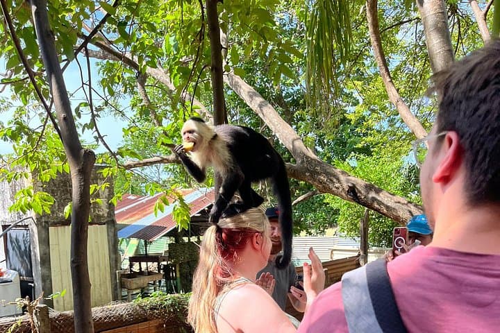 Family Wildlife Tour from Jacó: Monkeys, Crocs & Tárcoles Bridge photo 3