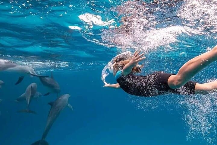 Zanzibar Dolphin & Snorkeling Dhow Tour with Beach Lunch photo 5