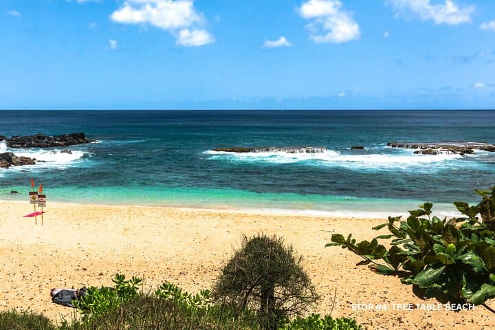 North Shore Oahu E‑Bike & Snorkel Route: Sunset Beach to Waimea photo 5