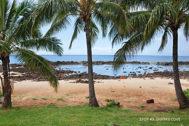 North Shore Oahu E‑Bike & Snorkel Route: Sunset Beach to Waimea photo 4