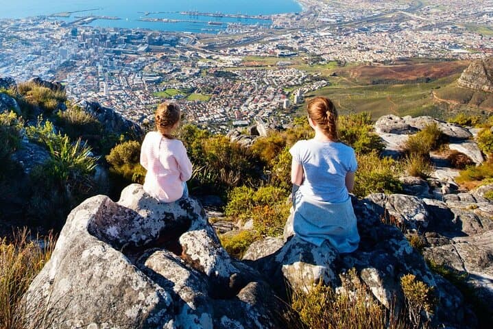 Cape Town Highlights: Table Mountain, Boulders Penguins & Constantia Wine Tour