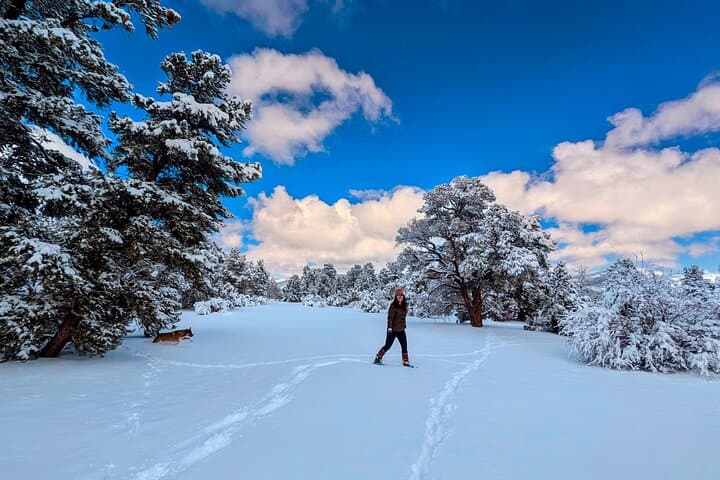 Big Bear Lake Snow Play Adventure: Guided Sledding, Snowmen & Hot Coffee in Southern California photo 2