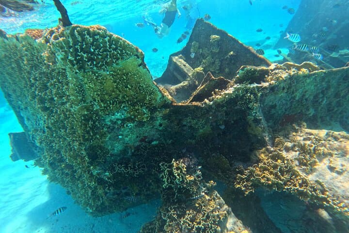 Cancun Snorkeling Adventure: Swim with Turtles, a Shipwreck & an Underwater Cenote photo 4