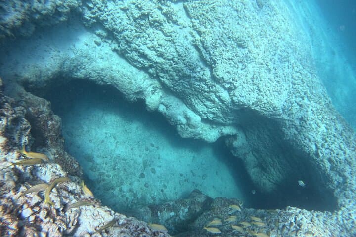 Cancun Snorkeling Adventure: Swim with Turtles, a Shipwreck & an Underwater Cenote photo 5