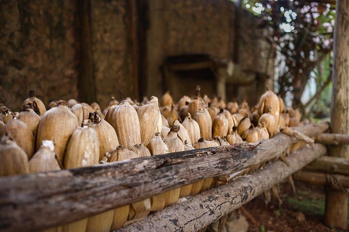 Private Tour to Chichen Itza and Cenote Saamal with Lunch — From Cancun photo 6