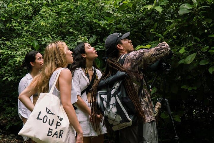 Esquipulas Birdwatching: Manuel Antonio's Mountain Rainforest Tour photo 4