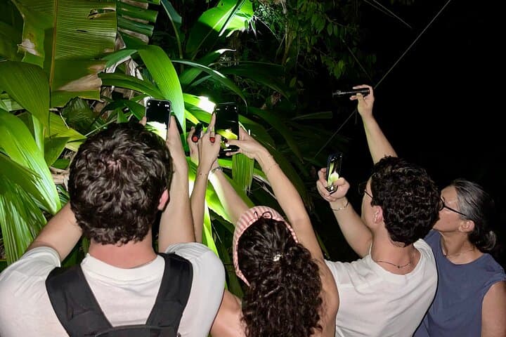 Nocturnal Wonders: Manuel Antonio Night Walking Tour with a Naturalist Guide photo 2