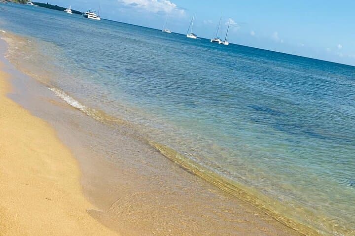 Vieques Shore Snorkel at Punta Arenas & Mosquito Pier — Turtles, Rays, and Shallow Reefs