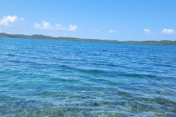 Vieques Shore Snorkel at Punta Arenas & Mosquito Pier — Turtles, Rays, and Shallow Reefs photo 2