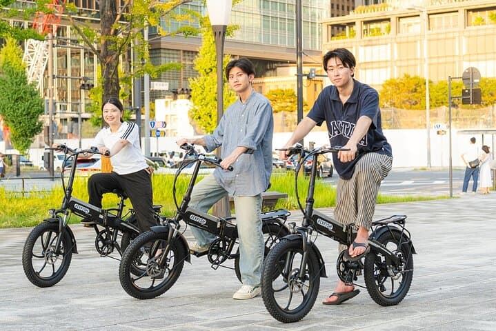 Tokyo E-Bike Tour: Imperial Palace & Historic Landmarks by Electric Bike