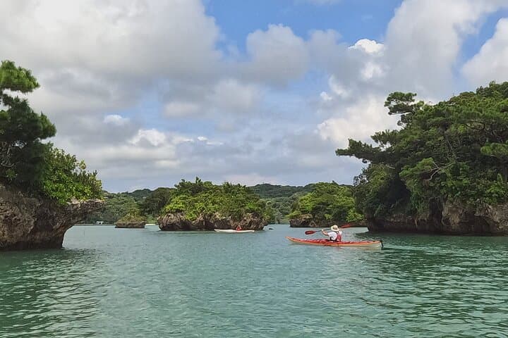 Kayak Okinawa's Mangroves & Reefs: Private English-Speaking Tour in Northern Yanbaru