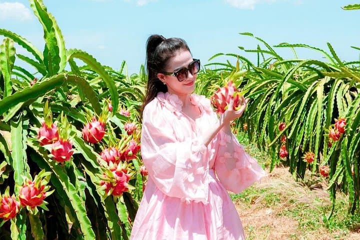 Ta Cu Mountain Half-Day Private Tour from Mui Ne — Reclining Buddha & Dragon Fruit Farm photo 4