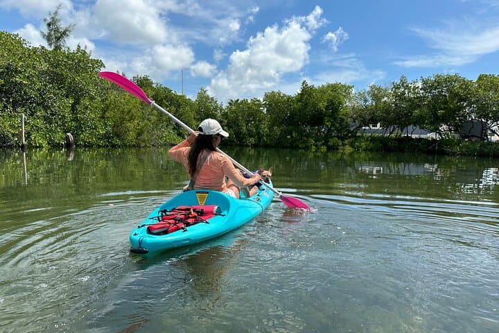 Clear Kayak Eco Tour in Key West: Paddle Through Mangroves and Seagrass photo 4