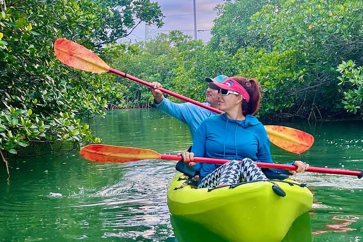 Clear Kayak Eco Tour in Key West: Paddle Through Mangroves and Seagrass photo 3