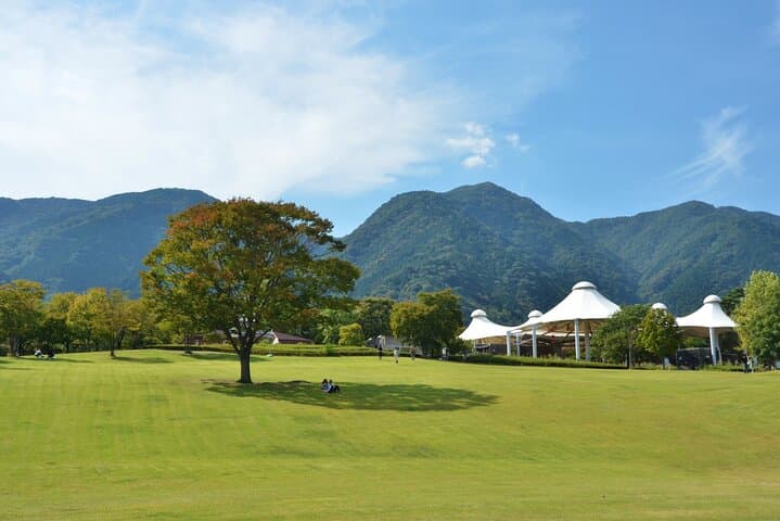 Yoro Site of Reversible Destiny: Walkable Art Tour in Gifu