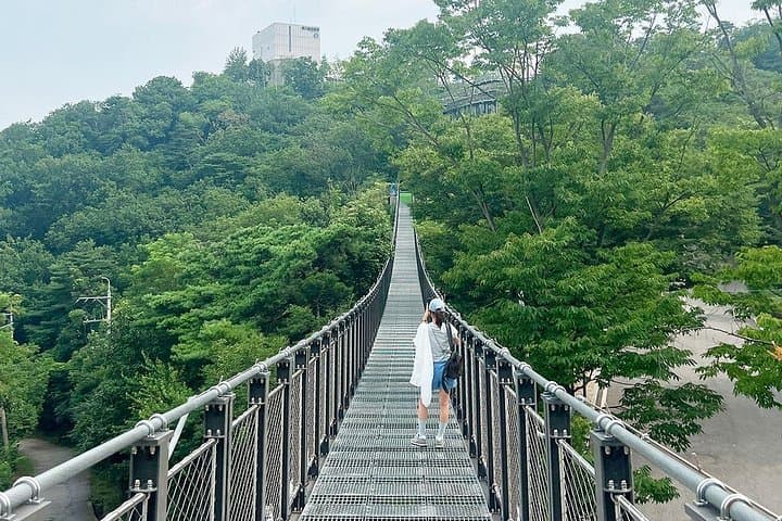 Aegibong DMZ Eco Park & Suspension Bridge Half-Day Tour from Seoul photo 3