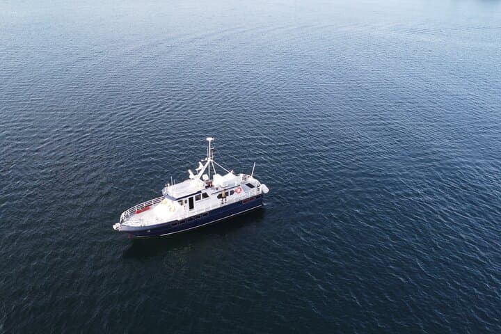 Arctic Magic: 3.5-Hour Whale Watching on Altafjord photo 6
