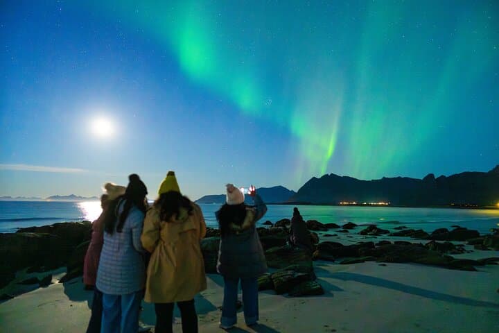 Chasing the Northern Lights in Lofoten: Small-Group Evening Tour photo 2
