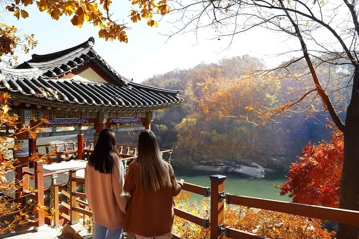 Cheorwon DMZ Second Tunnel & Goseokjeong Pavilion: Full-Day History Tour from Seoul