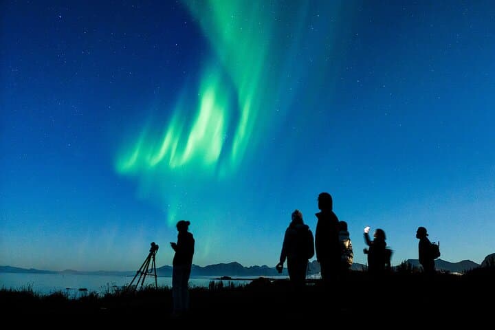 Chasing the Northern Lights in Lofoten: Small-Group Evening Tour photo 3