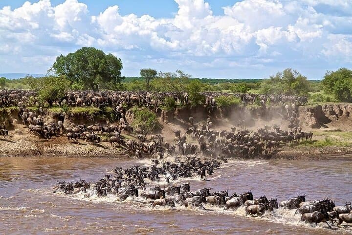 Ndutu Calving Safari: 4-Day Fly-In to Witness the Great Migration’s New Beginnings photo 6