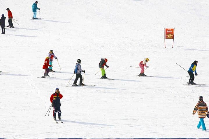 Day Trip to Elysian Gangchon Ski Resort & Eobi Ice Valley from Seoul photo 6