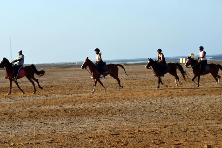 Sunset Horse Ride from Hurghada: Desert Dunes and Sea Swim photo 6