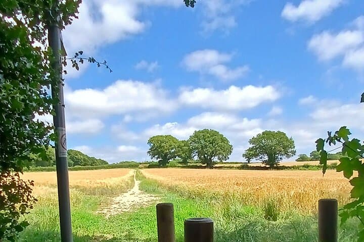Hidden Charleston and Rathfinney Walk — South Downs to Vineyard photo 3