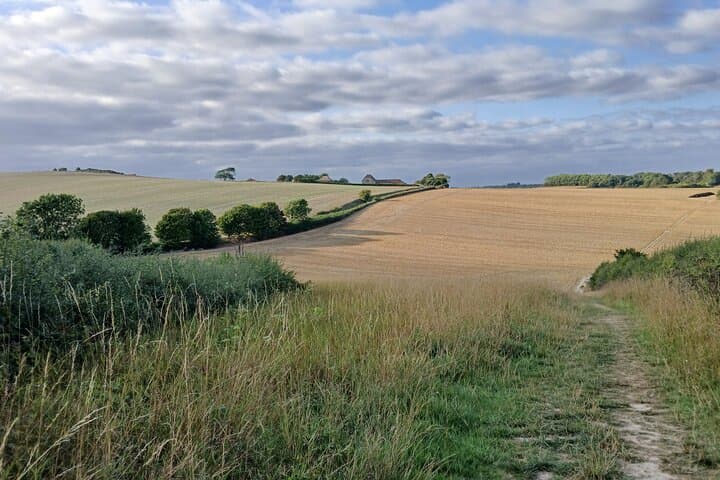 Hidden Charleston and Rathfinney Walk — South Downs to Vineyard photo 4