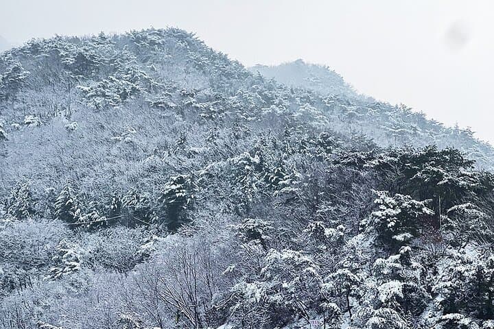 Seoul Winter Day Tour: Gamaksan Suspension Bridge, Ice Wall Café & Eunpyeong Hanok Village photo 6