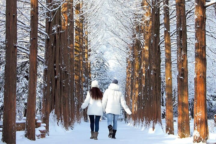 Winter Day Trip: Seoraksan, Eobi Ice Valley & Nami Island from Seoul photo 3