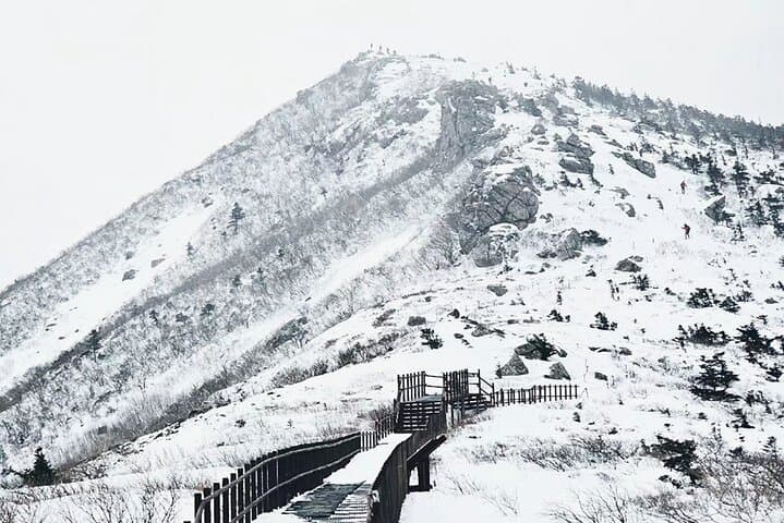 Winter Day Trip: Seoraksan, Eobi Ice Valley & Nami Island from Seoul photo 5