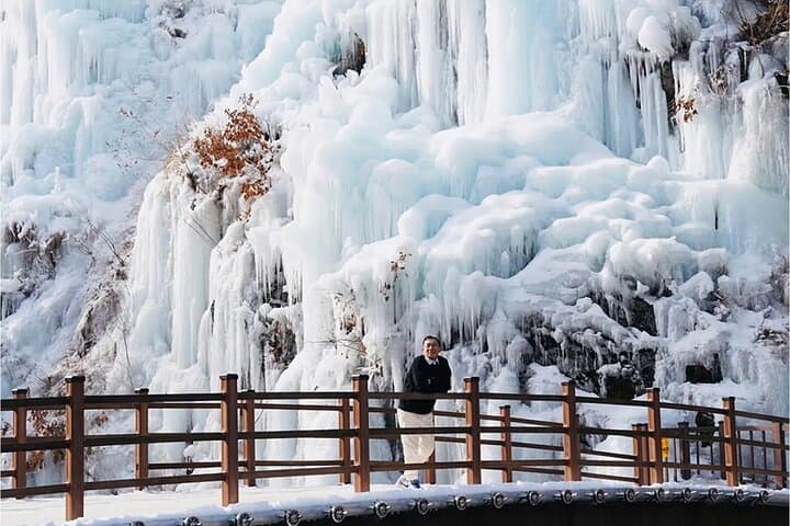 Winter Day Trip from Seoul: Nami Island, Gangchon Railbike & Petite France photo 4
