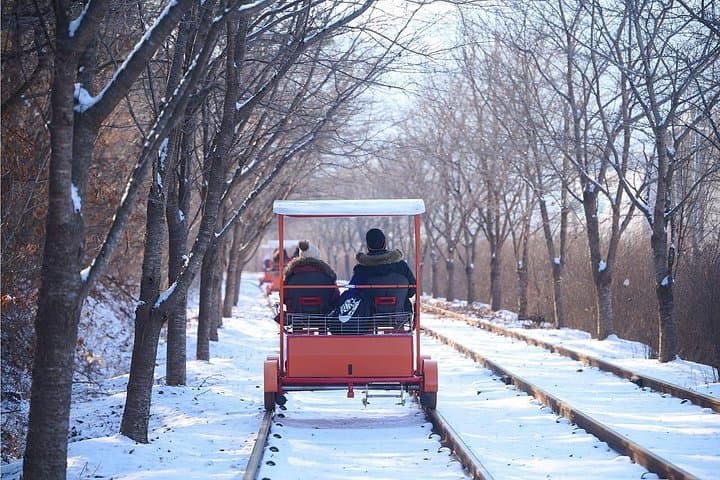 Full-Day Strawberry Picking, Nami Island & Rail Bike from Seoul photo 3