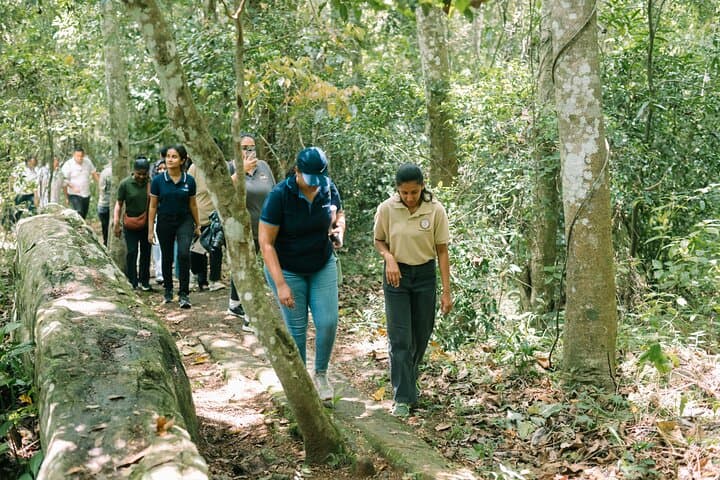 Kandy Yahalatenna Coffee Trail: Walking Coffee Class & Jungle Rock Hike photo 5