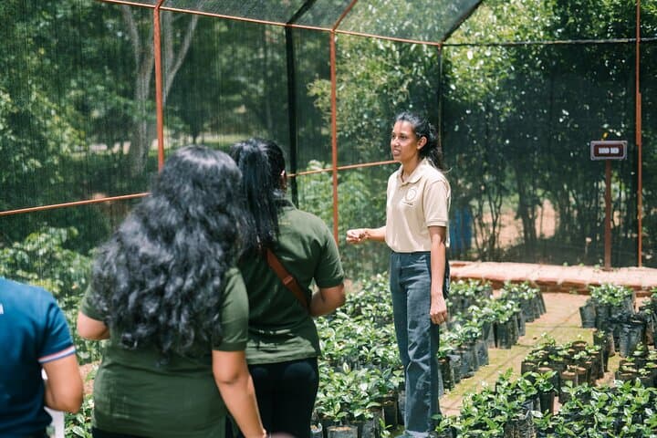 Kandy Yahalatenna Coffee Trail: Walking Coffee Class & Jungle Rock Hike photo 4
