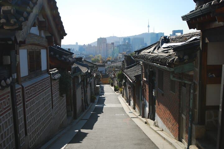 Highlights of Seoul: Full-Day Cultural Tour of Palaces, Markets & City Views photo 3