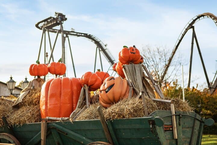 Heide Park Resort Admission Ticket — Northern Germany’s Biggest Theme-Park Day photo 3