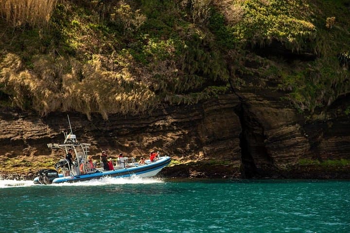 Snorkeling Ilhéu de Vila Franca do Campo — Azores Boat Tour photo 1