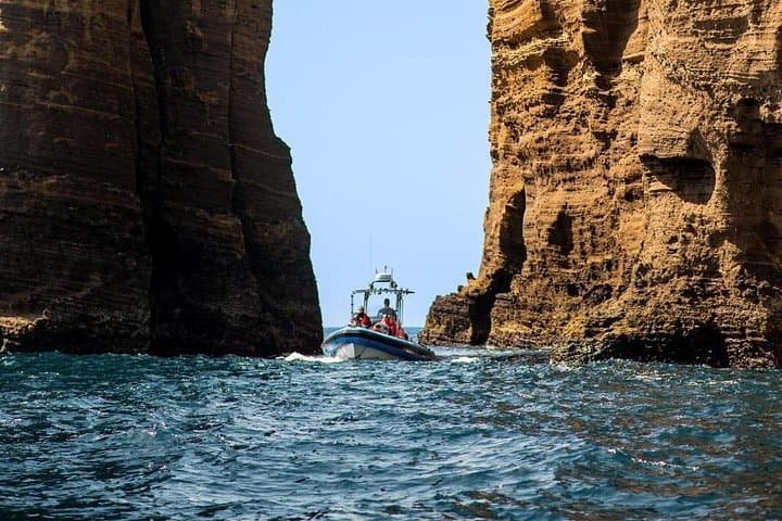 Snorkeling Ilhéu de Vila Franca do Campo — Azores Boat Tour photo 4