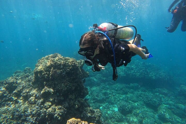 Beginner Scuba Dive at Los Arcos de Mismaloya — Guided Intro from Mismaloya Beach