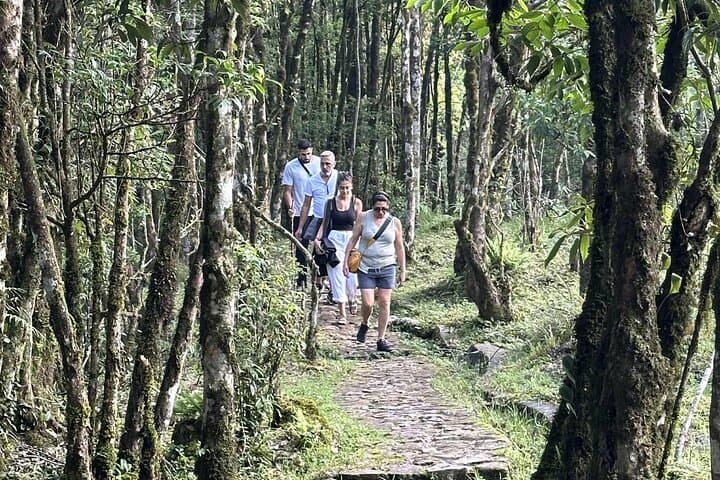 Sapa Trekking: Silver & Love Waterfalls, Sin Chai Village and Ô Quy Hồ Pass photo 3