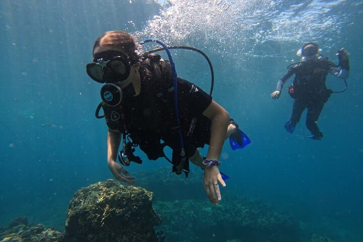 Beginner Scuba Dive at Los Arcos de Mismaloya — Guided Intro from Mismaloya Beach photo 2