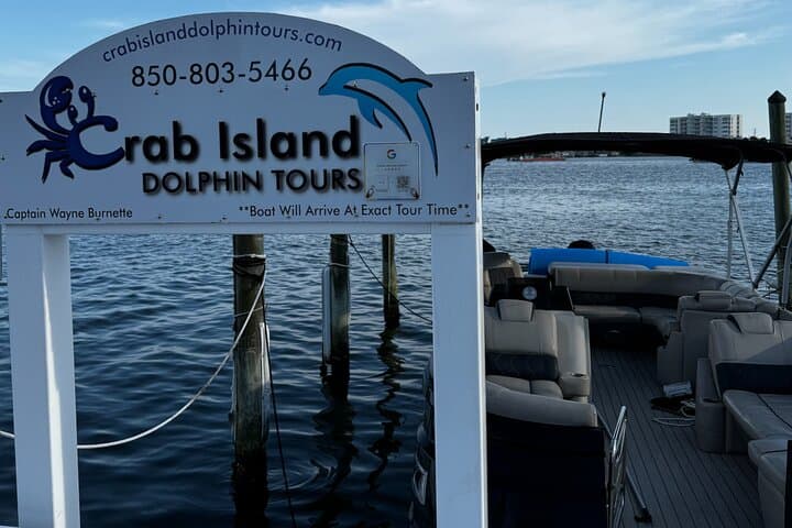 Private Captained Crab Island Dolphin Tour — 2-Hour Destin Pontoon Charter photo 5