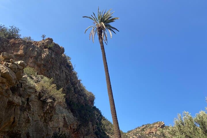 Tizgui Valley Day Hike and Natural Pools from Agadir photo 3